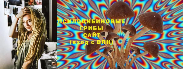 героин Ельня