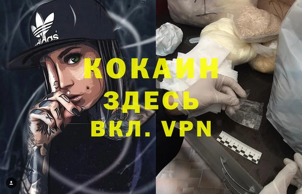PSILOCYBIN Ростов