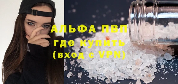 PSILOCYBIN Ростов