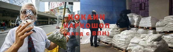 PSILOCYBIN Ростов