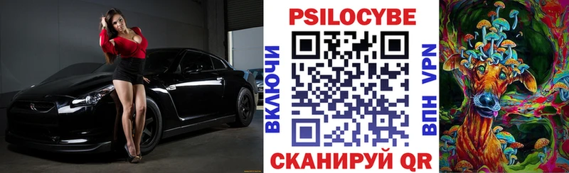 Галлюциногенные грибы Psilocybe  Сенгилей 